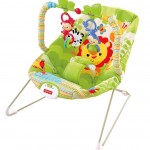 Fisher-Price Baby Bouncer, Rainforest Friends