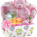 Little Miracles Baby Girl Essentials  22 Pc Deluxe Baby Gift Basket (Pink)