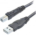 Belkin Hi-Speed USB 2.0 Cable (10 Feet)