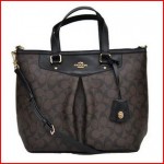 COACH Signature Pleat Tote Satchel Handbag Bag Brown Black 34614