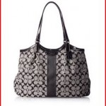 Coach Devin Signature Stripe Women's Tote Handbag Bag 28503