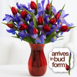 A Dozen Hugs, a Dozen Kisses Bouquet (12 Tulips, 12 Irises) - Flowers