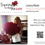 Flowers For Delivery - Impress Her With 25 GIANT, RED (Or Choose Color) Incredibly Fragrant Long Stem Roses