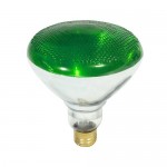 Green Incandescent Reflector Indoor Outdoor Flood Light Lamp 100 Watt