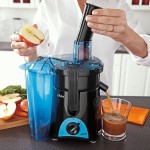 Oster Juice and Blend 2 Go FPSTJE3166-022 Juice Extractor and Personal Blender