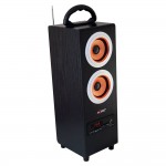 Axess SP1004-GL Gold - Portable rechargeable box speaker with subwoofer, LED display, USB input, SD card and PLL FM