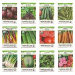 Organic Heirloom Vegetable Seed Variety Pack