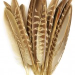 Touch of Nature 38192 Pheasant Wing Quill, 7-Inch
