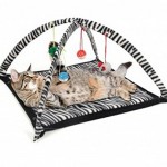 Cat Activity Center with Hanging Toy Balls, Mice