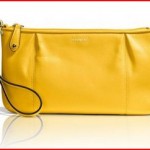 Coach Campbell Leather Large Wristlet