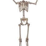 Seasons Crazy Bonez Pose-N-Stay Skeleton
